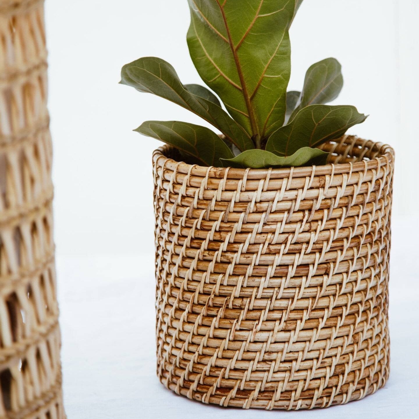 3-Piece Basket Planter Set | Round Woven Wicker Plant Baskets