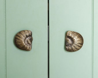 コーブ真鍮ノブ/プル