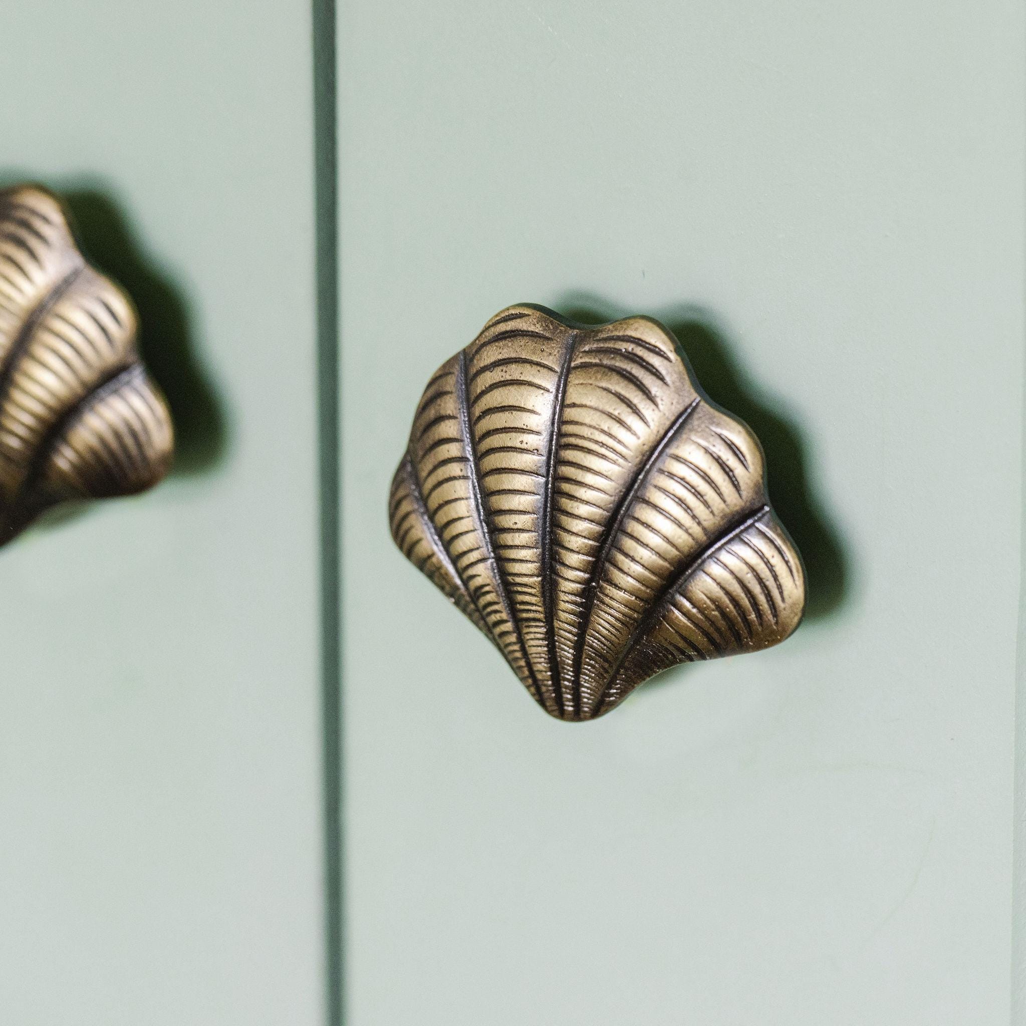 Brass Curved Shell Knob - Etsy