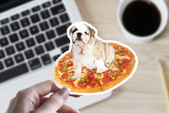 Niedliche Pepperoni Pizza Britische Bulldogge Englisch Welpe Hund