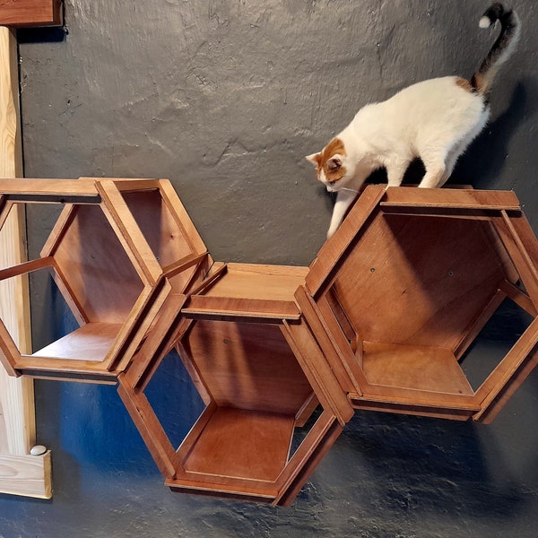 Cat Hexagon Shelves Etsy