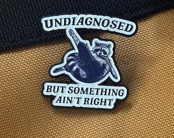 Undiagnosed But Something Ain’t Right Raccoon Enamel Pin | Funny Mental Health Humor Pin | Relatable Chaos Meme Pin | Trash Panda Gift