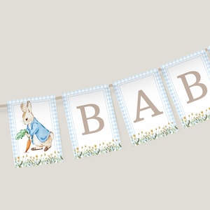 Blue Rabbit Baby Shower Bunting