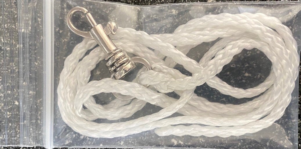 Avidog Tagline for Small Breed & Baby Puppies(36)