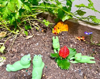 Frosch Keramik Figur Kröte Geschenk Topf Pflanzer