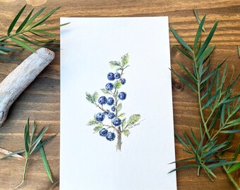 ORIGINAL watercolor painting of Blueberry Botanical - Size 5.5" x 8.5"
