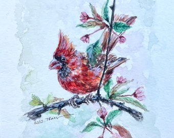 ORIGINAL watercolor painting of Nothern Cardinal Bird - Size 5.5" x 8.5"