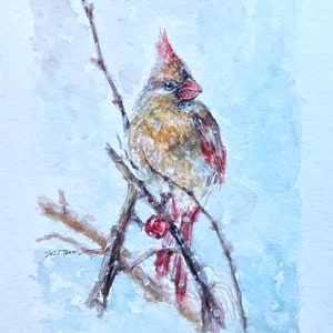 ORIGINAL watercolor painting of Northern Cardinal Bird - Size 5.5&quot; x 8.5&quot;