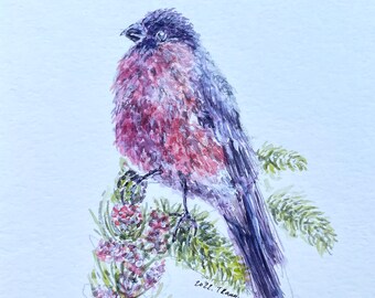 ORIGINAL watercolor painting of Eurasian Bullfinch Bird - Size 5.5" x 8.5"