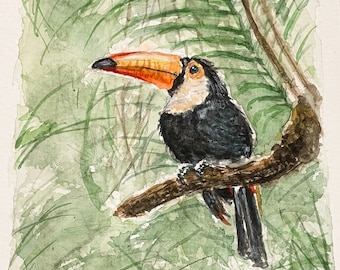 ORIGINAL Watercolor painting of " Toco toucan Bird"