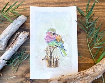 ORIGINAL watercolor painting of Lilac-breasted roller Bird - Size 5.5" x 8.5"