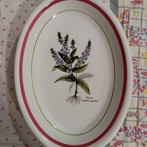 May include: Oval white ceramic serving platter with a botanical illustration of a plant with purple flowers, green leaves, and roots. The rim has a red and green border. The text "Veronica anagallis-aquatica" is below the plant.