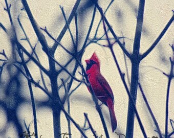 Digital wall art | Winter cardinal in tree | Art print | Wall art | Children's Art | Nature painting | Bird art | Nature lover | red bird