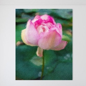 Digital wall art | Watercolor pink lily painting  | Art print | Wall art | Flower painting | Nature painting | Nature lover | Lily pad art