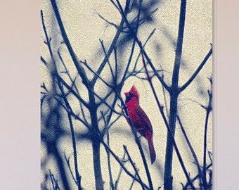 Digital wall art | Winter cardinal in tree | Art print | Wall art | Children's Art | Nature painting | Bird art | Nature lover | red bird