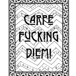 Swear Word Coloring Book / Coloring Pages for Adults/teens