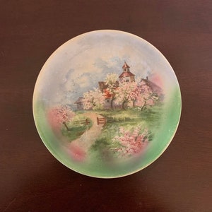 Vintage Porcelain Hand Painted Plate