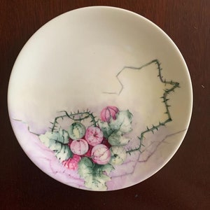 Limoges France Hand Painted Porcelain Flower Plate