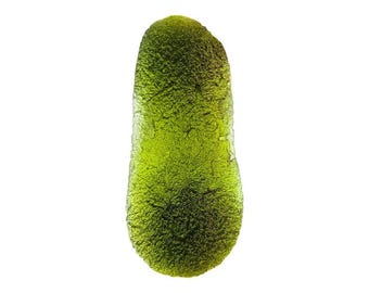 Museum Grade Moldavite dumbell Shape, 45.25g from Zatacka