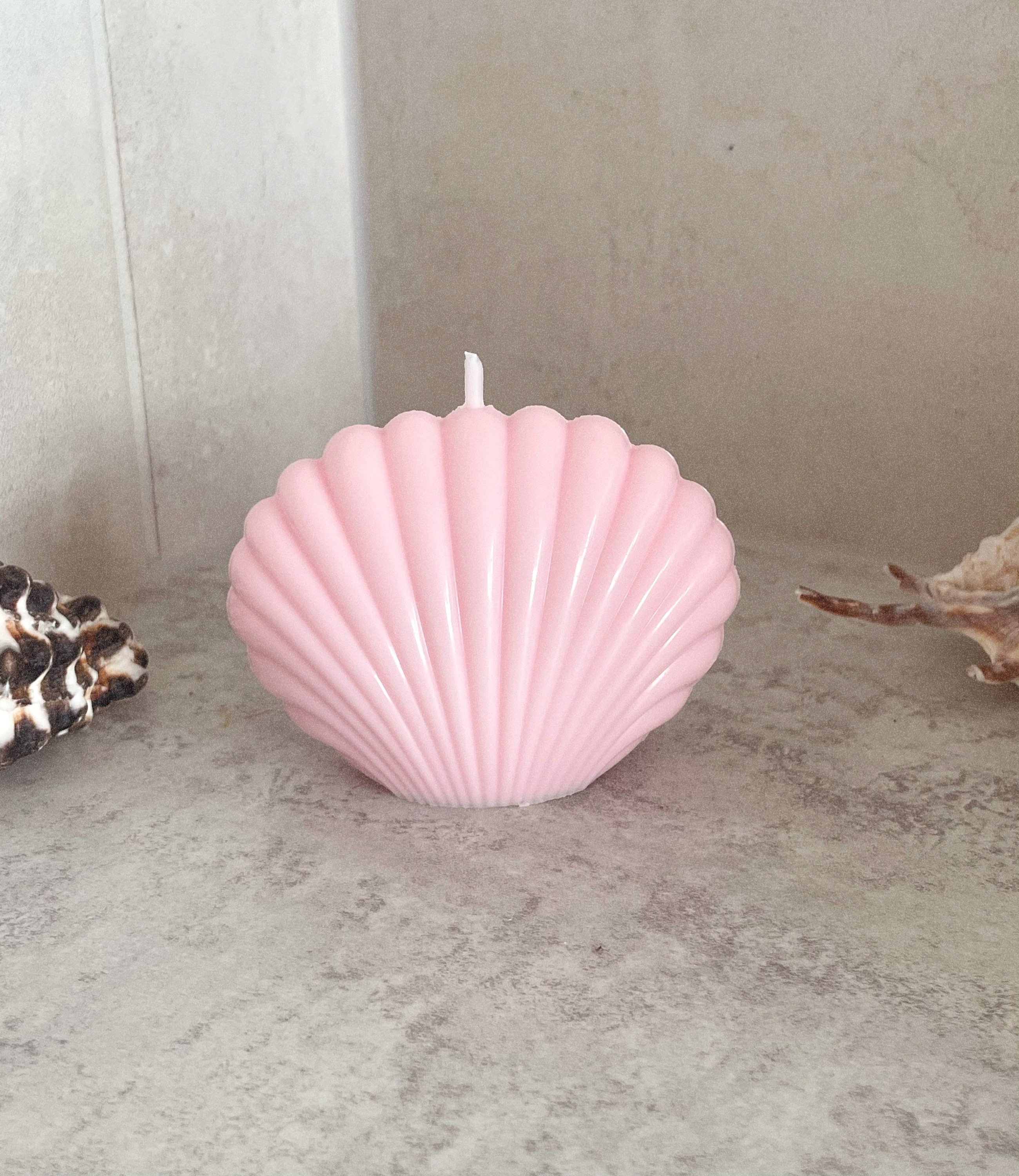 The Layla shell large shell candle seashell candle shell Etsy
