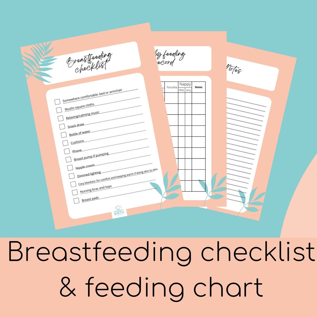 Breastfeeding Checklist and Feeding Record Etsy