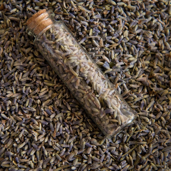 Vial of Dried Lavender Flowers - 4 grams