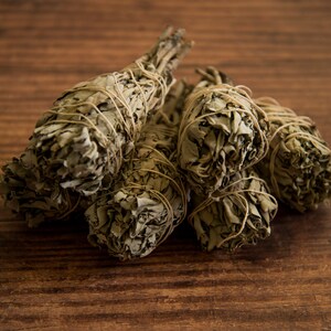 Set of 3 White Sage Bundles ~ 4.8 inches
