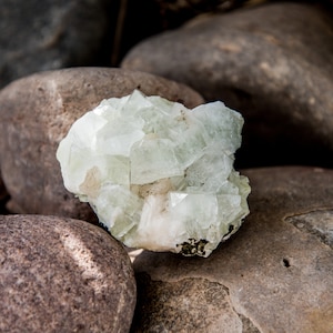 Green Apophyllite Cluster - India