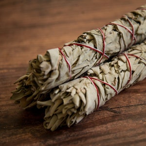 LARGE White Sage Bundle - 9.5 inches