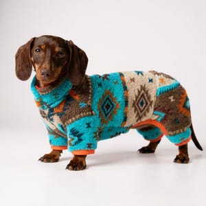 Peut inclure: Un teckel marron portant un pull pour chien à motifs turquoise, marron et beige. Le pull a une bordure orange et couvre le corps et les pattes du chien. Le chien est debout sur une surface blanche.