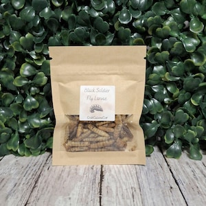 Black Soldier Fly Larvae - Hermit Crab Food - Protein - Crabcuisineco