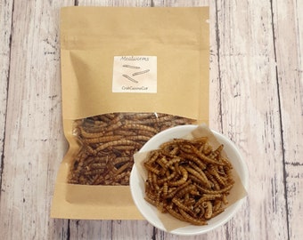 Mealworms - Hermit Crab Food - Protein - Crabcuisineco