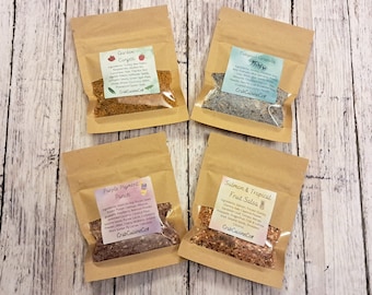 Color Me Beautiful Bundle - Homemade Hermit Crab Food - 4 Piece Set - Limited Time - Crabcuisineco