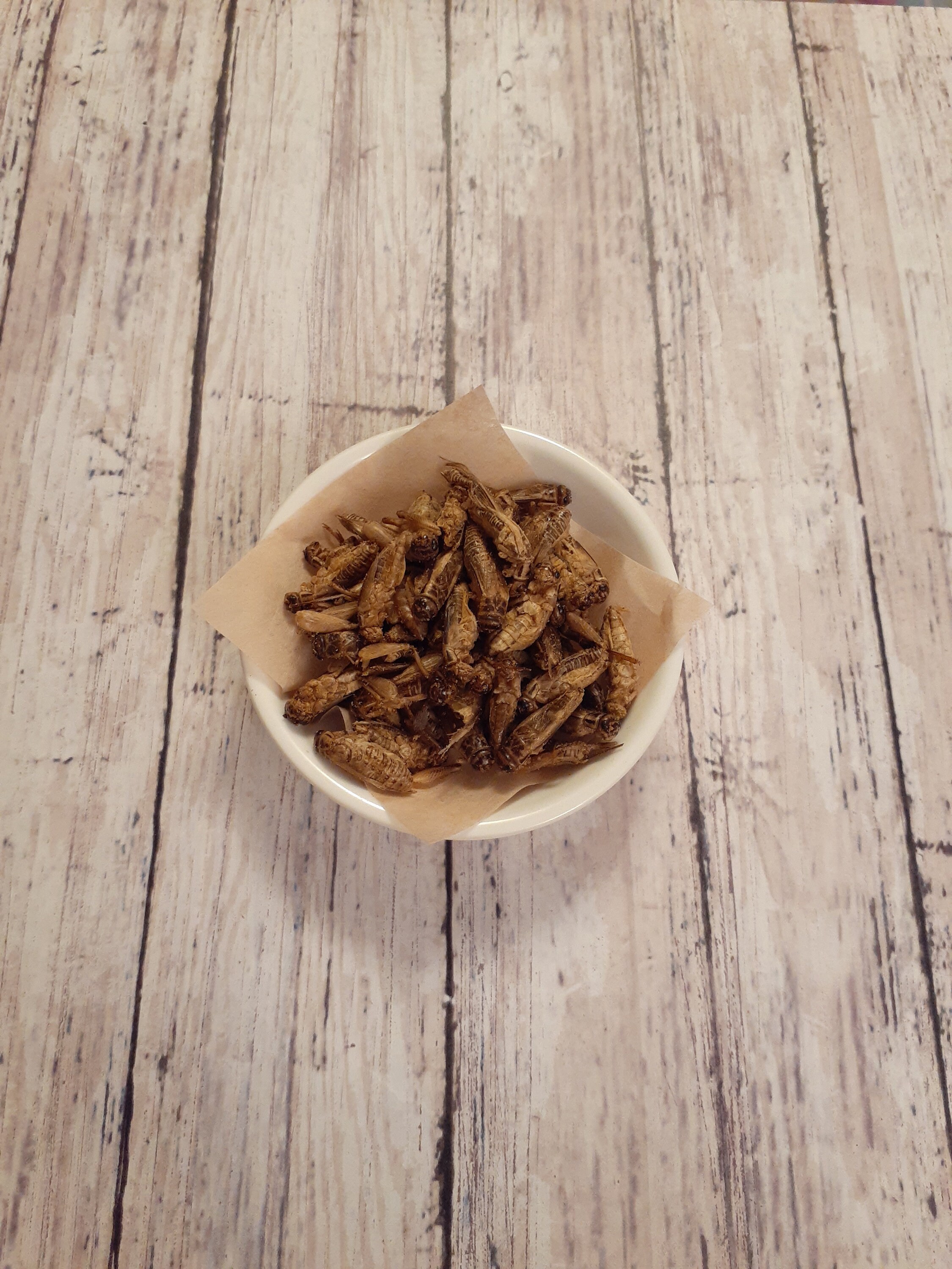 Picture of What Do Hermit Crabs Eat? (Safe + Unsafe Foods)