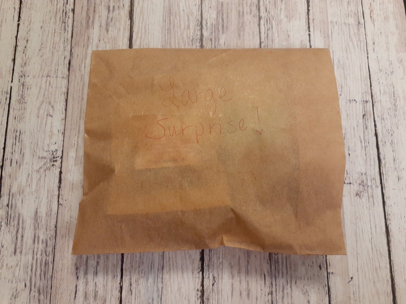Puede incluir: Un paquete de papel marr&oacute;n con las palabras "Large Surprise!" escritas en tinta roja.