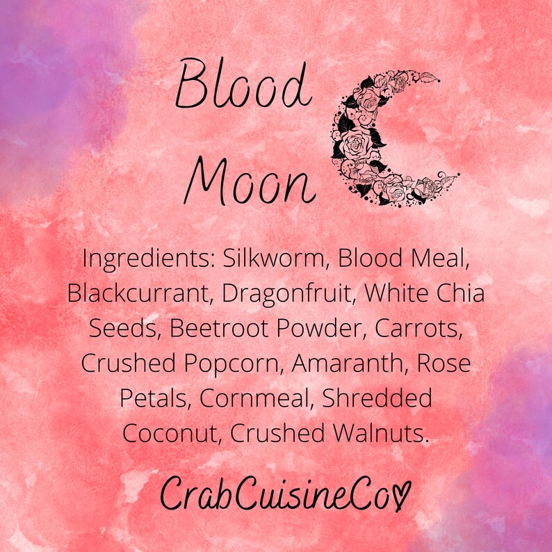 Small Halloween Bundle Homemade Hermit Crab Food 8 Piece Bundle