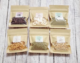 Seaside Sampler - Hermit Crab Food Sampler - 6 Piece - Seaweed, Calcium, Greensand & Protein!