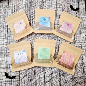 Halloween Balanced Meal Bundle - Homemade Hermit Crab Food - 6 Piece Bundle - Crabcuisineco