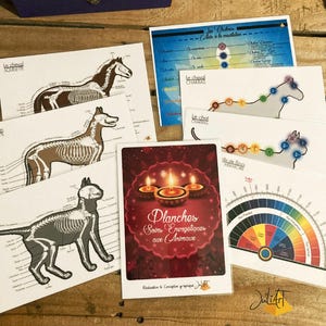 Op de afbeelding: Een verzameling kaarten met dierlijke anatomiediagrammen en energiekaarten. De kaarten tonen paarden- en katten skeletten, chakra punten en een kleurenwiel. De centrale kaart heeft de tekst "Planches Soins Energétiques aux Animaux."