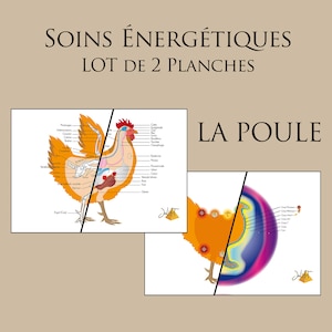 Animal energy care: LOT 2 LA POULE boards