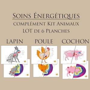 Puede incluir: Un conjunto de seis tablas ilustradas para la curación energética de animales. Las tablas presentan diagramas anatómicos de un conejo, una gallina y un cerdo, junto con diagramas de campo energético correspondientes. Las tablas están tituladas "Soins Energetiques Complement Kit Animaux Lot de 6 Planches".