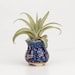 see more listings in the Mini Pot & Planter section