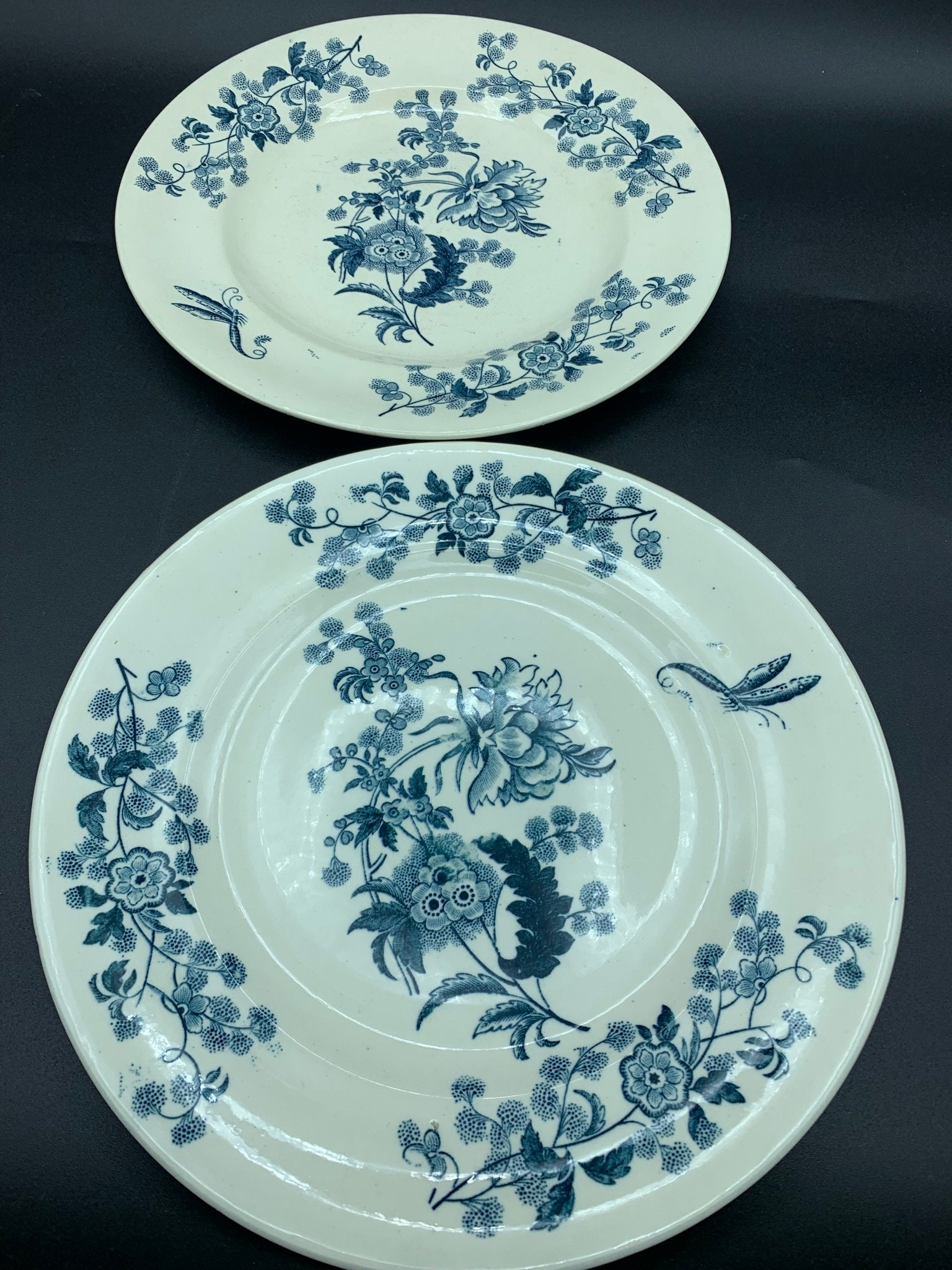 2 Anciennes Assiettes Longwy en Terre de Fer Antique Bleu Model Ycho