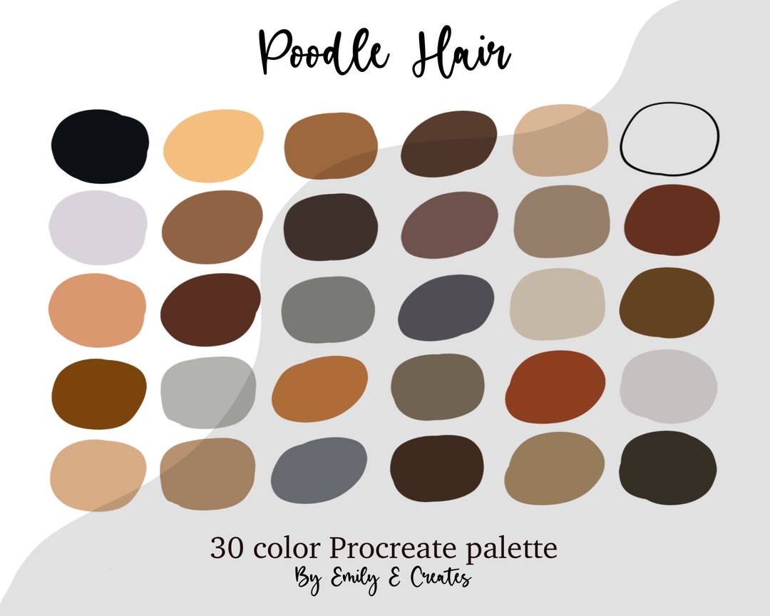 Poodle Hair Procreate Color Palette Procreate Tool Instant Etsy