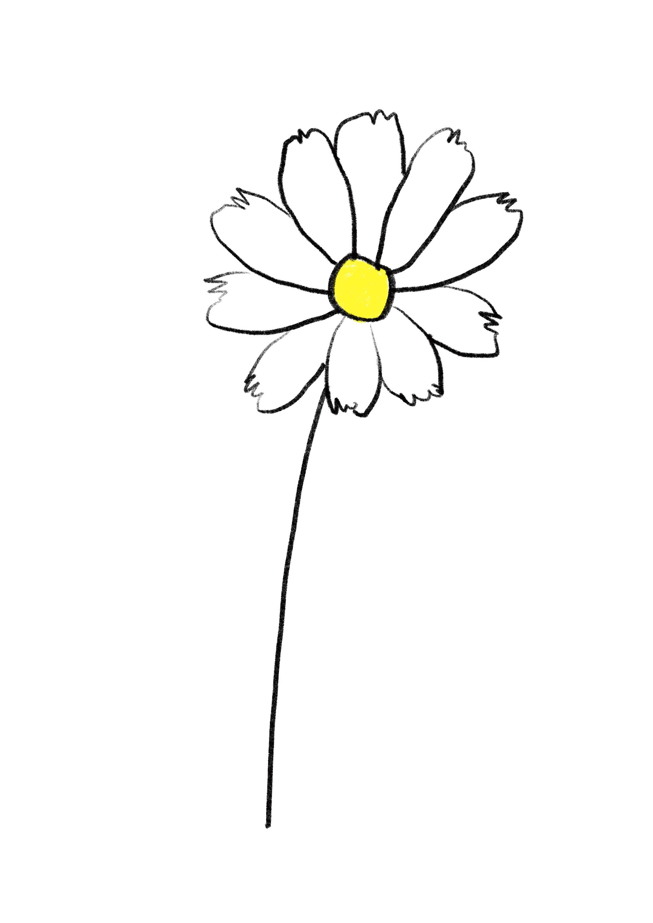 Shasta daisy Minimalist Art Flower Drawing Flower Artwork Etsy