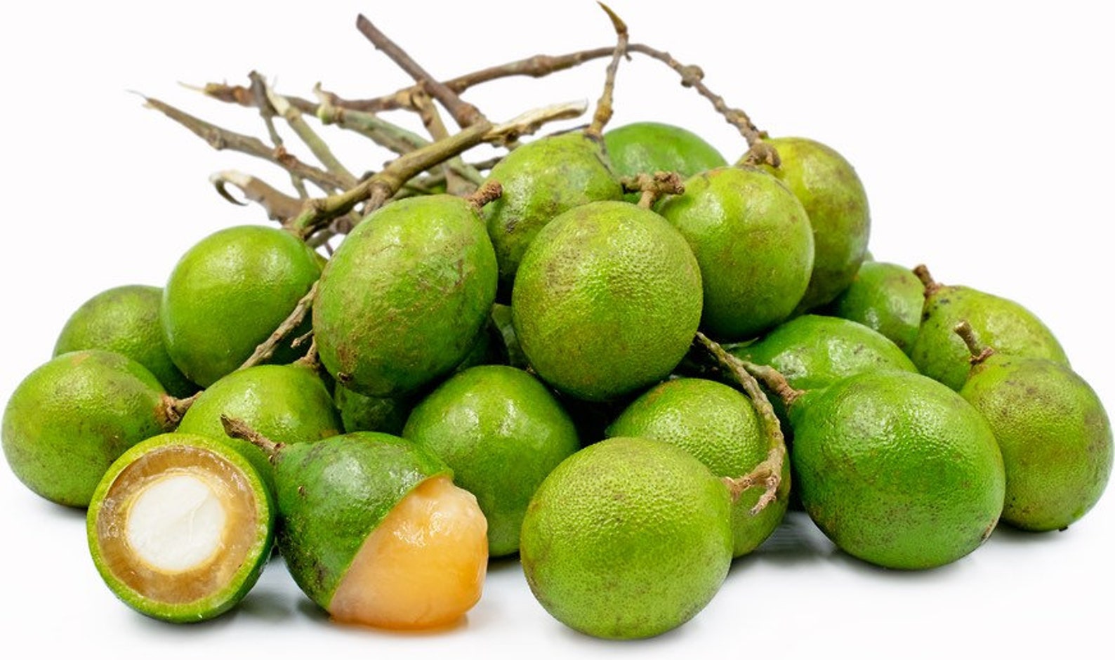 Grafted Quenepas Spanish lime tree 1 2 feet Etsy