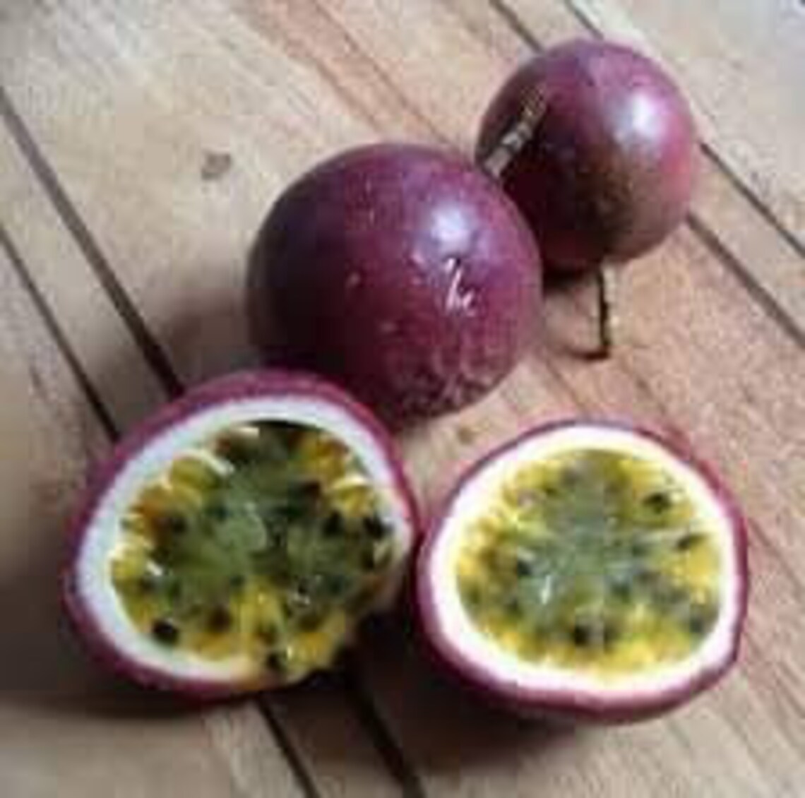 Passion Fruit Purple Live Fruit plant 10in to 2 ft parcha Etsy