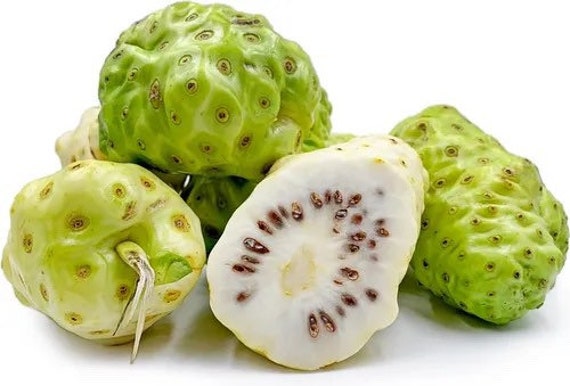 công dụng trái nhàu