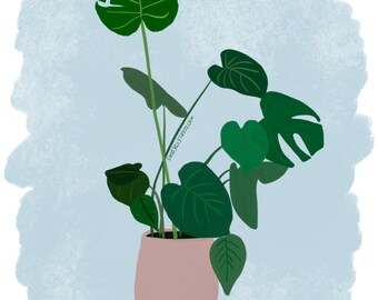 monstera illustration