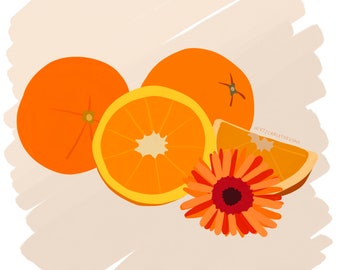 oranges and flower illustration